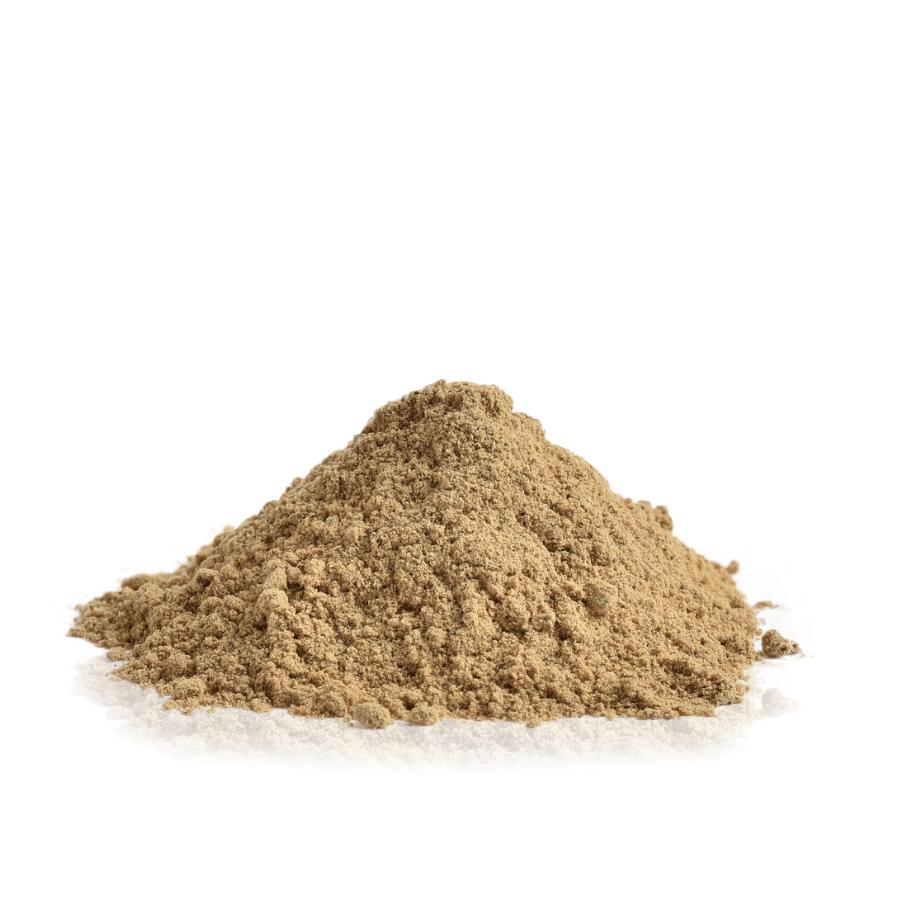 Porcini Powder