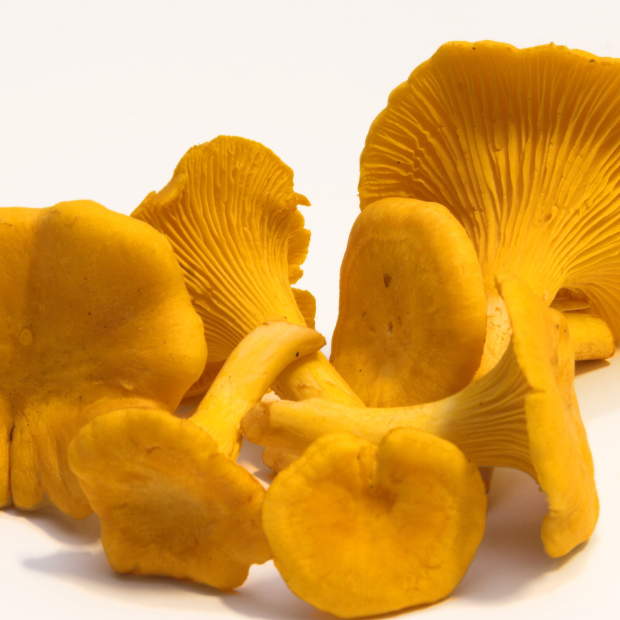 Брашно От Сухи Гъби Пачи Крак