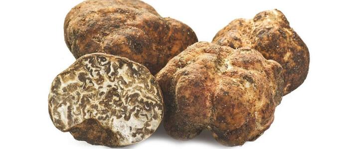 Пресен бял пролетен трюфел