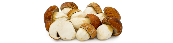 Замразена Манатарка ( Boletus Edulis )