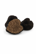 Fresh Bagnoli Black Truffle (Tuber Mesentericum) A-Grade – 100G