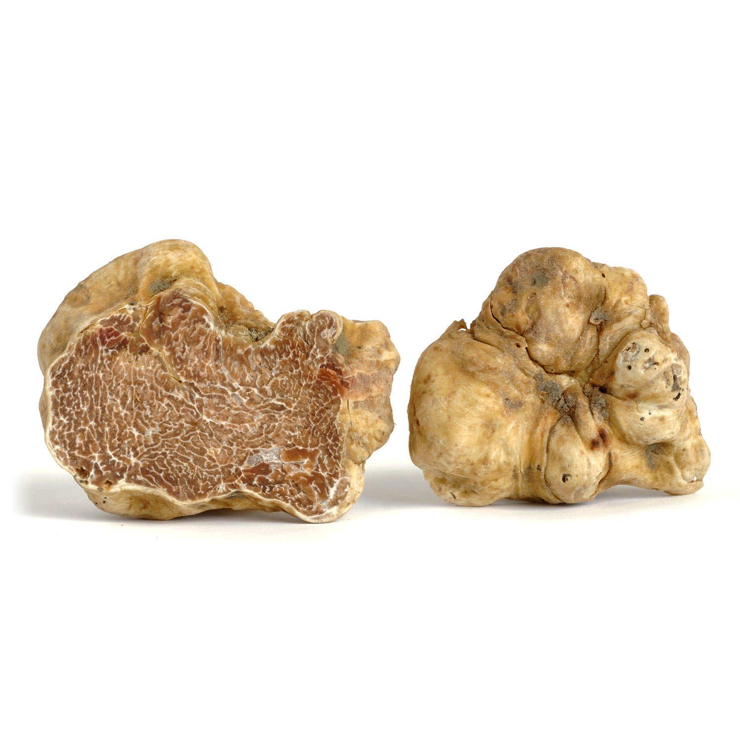 fresh white truffle magnatum pico 100 gr / 4 oz