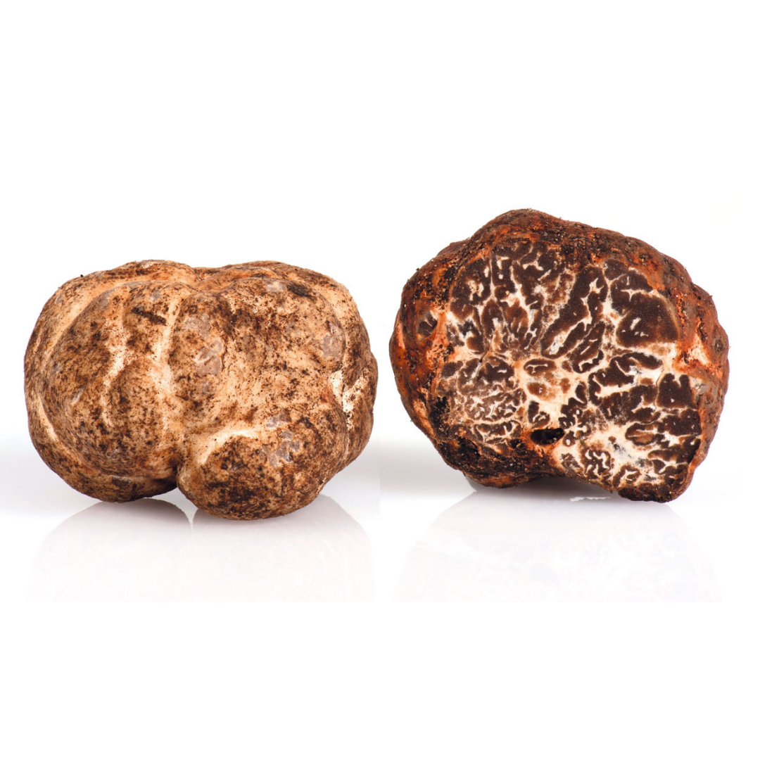 fresh white truffle ( tuber borchii ) 500 gr / 17_6 oz