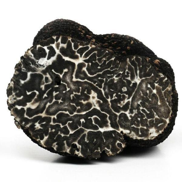 fresh black winter truffle tuber brumale 30 gr / 1_1 oz