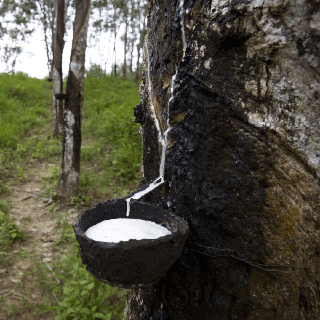 Възглавница От Вълнени Перли И Натурален Латекс – 60/40 См, Естествен Комфорт И Поддръжка На Тялото