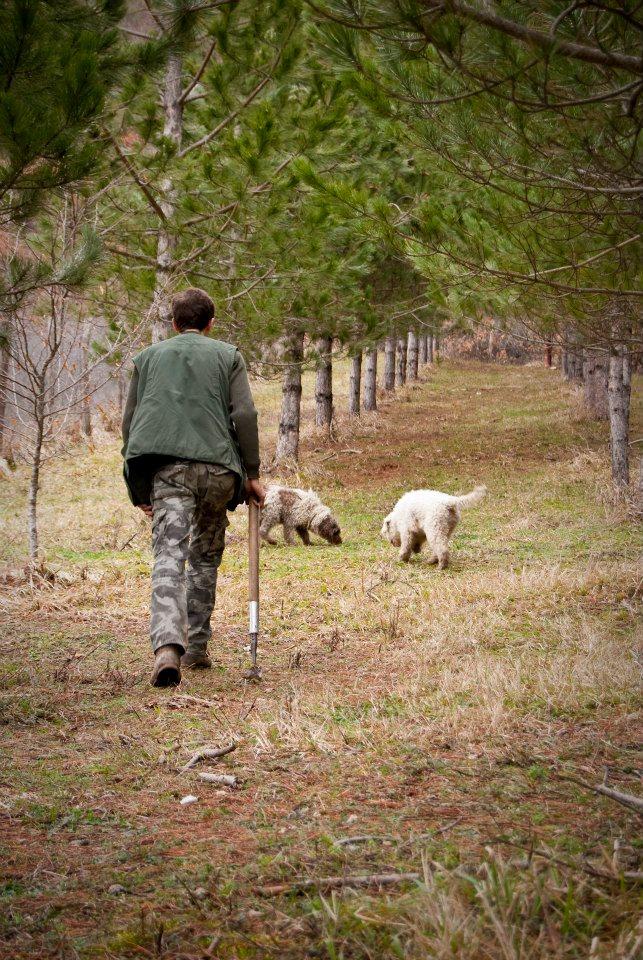 Лов На Трюфели Преживяване