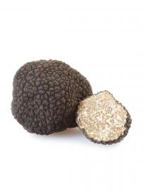 Fresh Black Autumn Truffle (Tuber Uncinatum Chatin) 500 Gr / 17.6 Oz